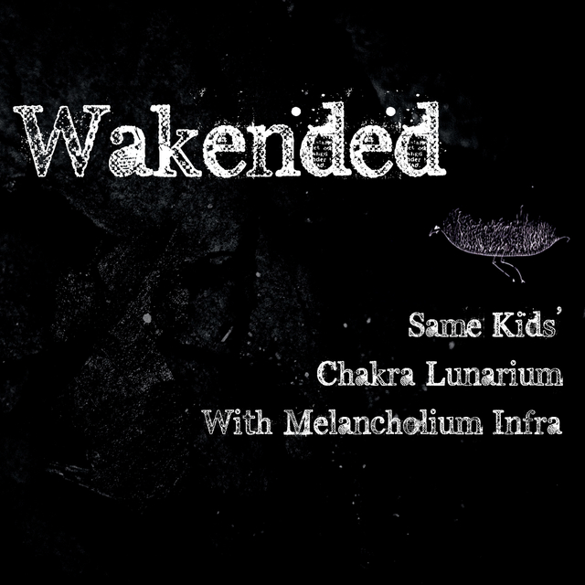 Same Kids' Chakra Lunarium With Melancholium Infra