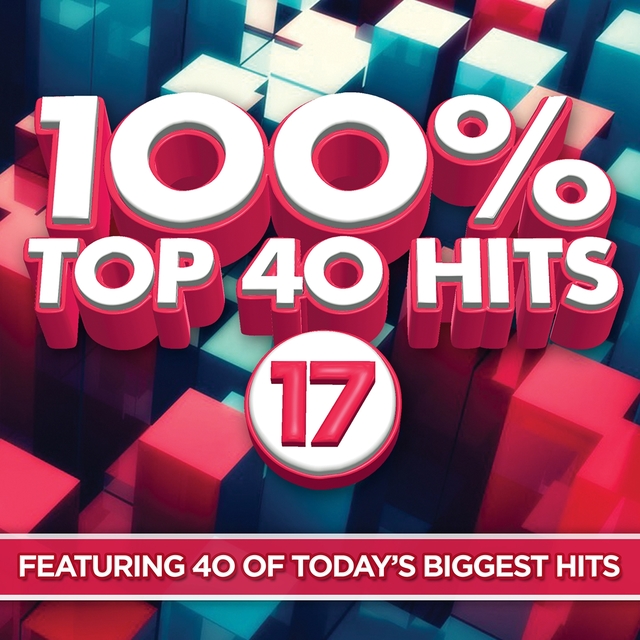 Couverture de 100% Top 40 Hits 17