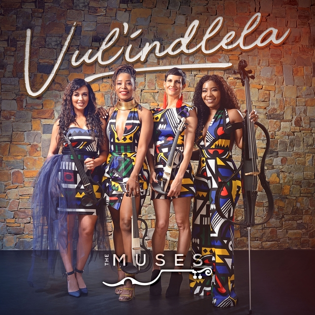 Couverture de Vulindlela