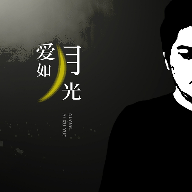 Couverture de 爱如月光