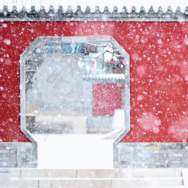 Couverture de 北京的初雪