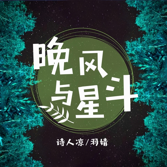 Couverture de 晚風與星斗