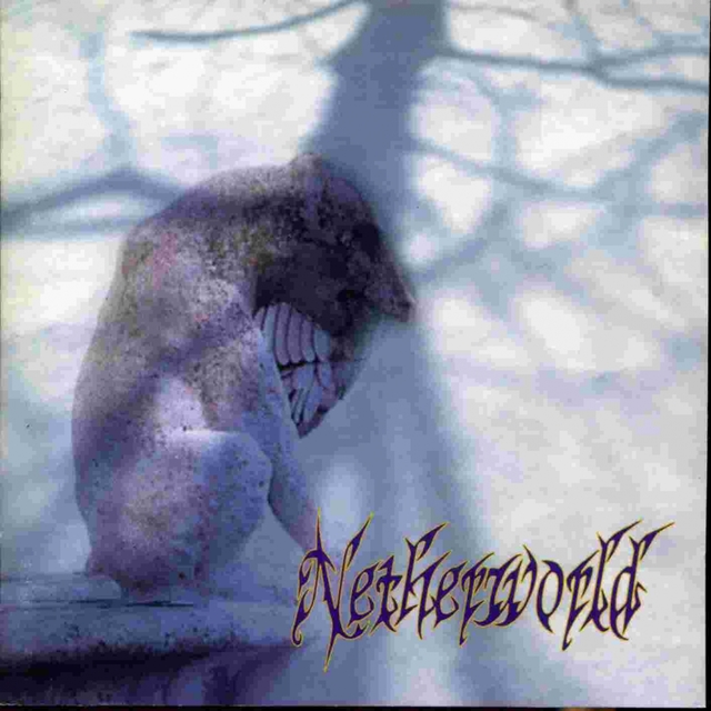 Couverture de Netherworld