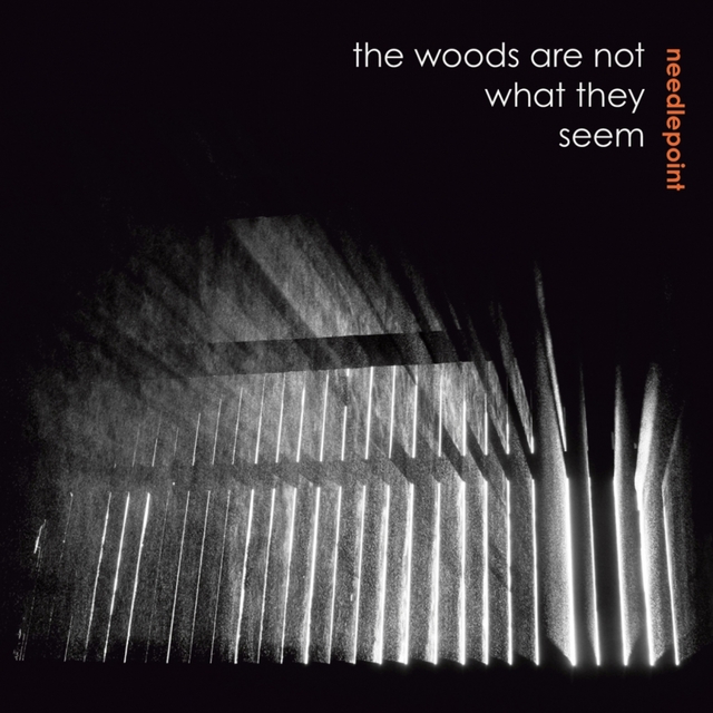 Couverture de The Woods Are Not What They Seem