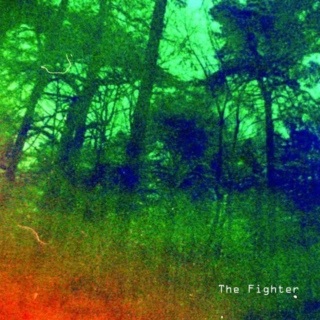 Couverture de The Fighter