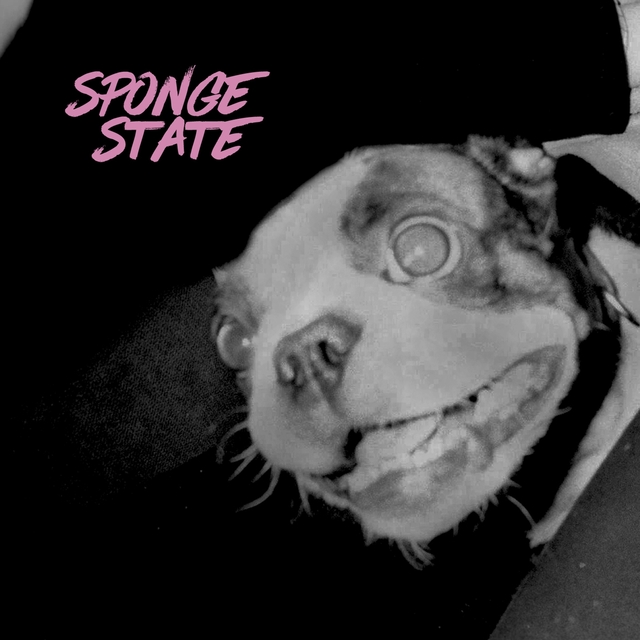 Couverture de Sponge State