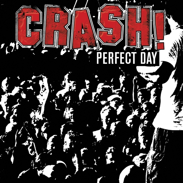 Couverture de Perfect Day