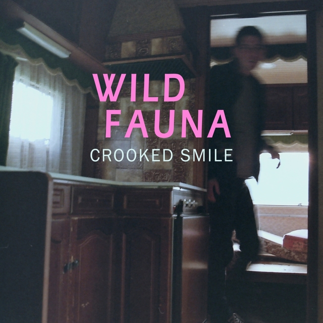 Couverture de Crooked Smile