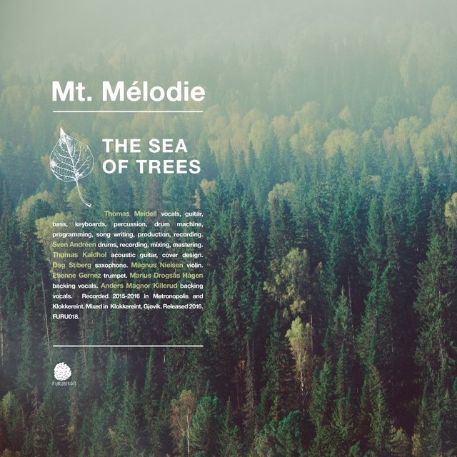 Couverture de The Sea of Trees