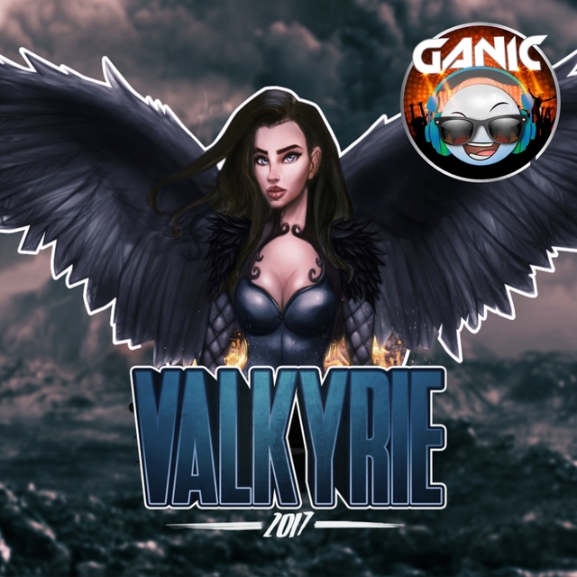 Couverture de Valkyrie 2017