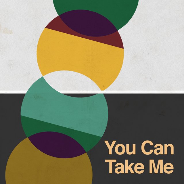 Couverture de You Can Take Me