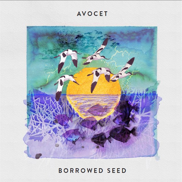 Couverture de Borrowed Seed