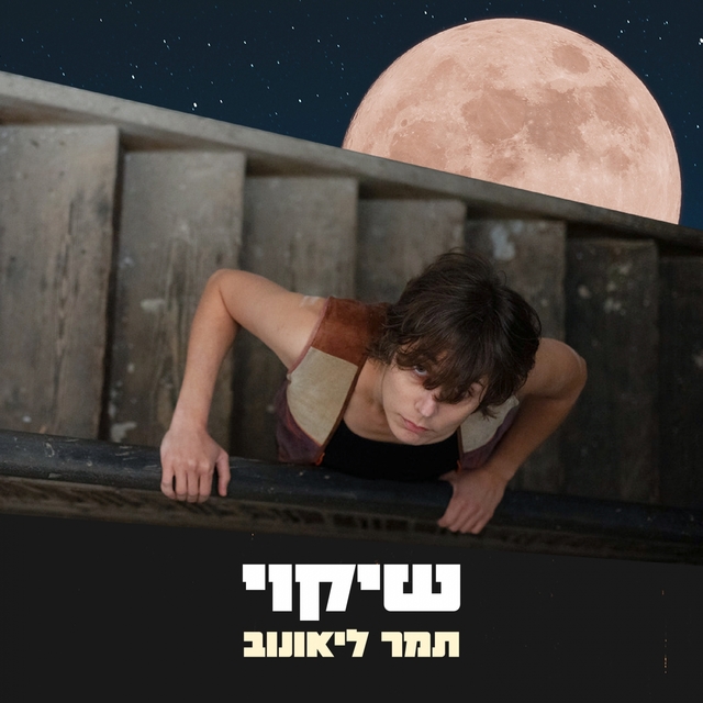 שיקוי