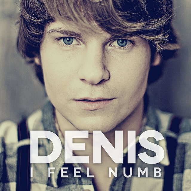 Couverture de I Feel Numb