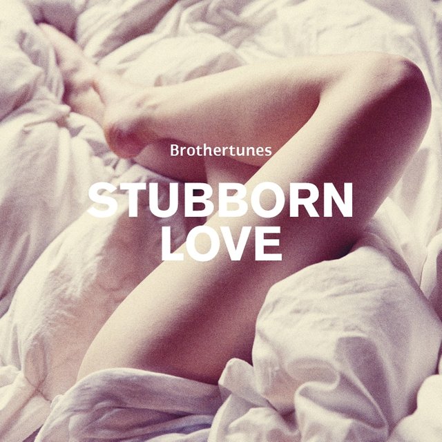 Couverture de Stubborn Love