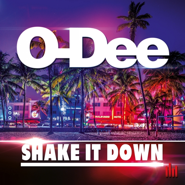 Couverture de Shake It Down