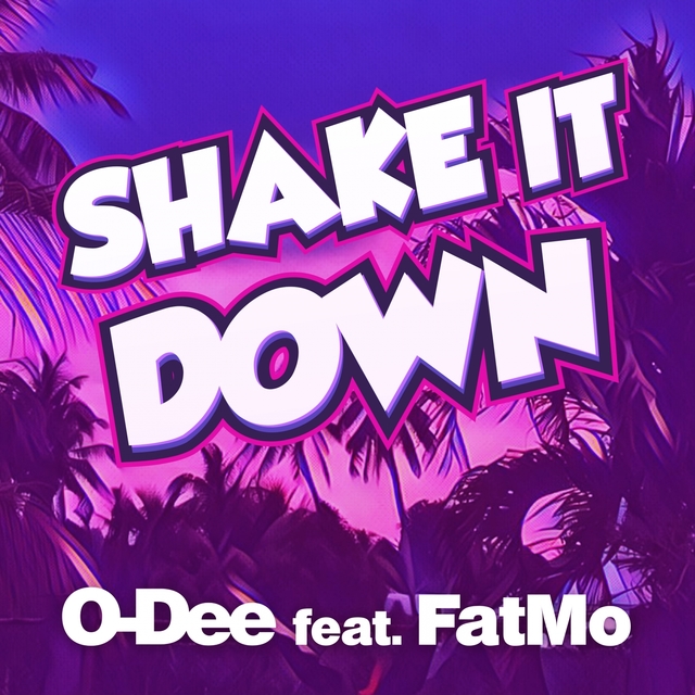 Couverture de Shake It Down