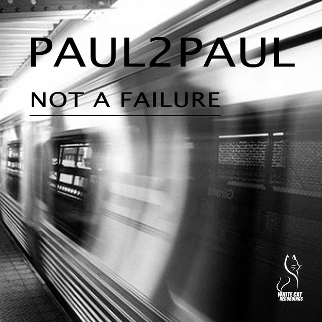 Couverture de Not a Failure