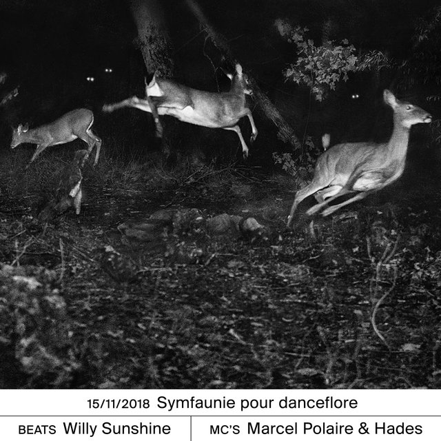 Symfaunie pour danceflore