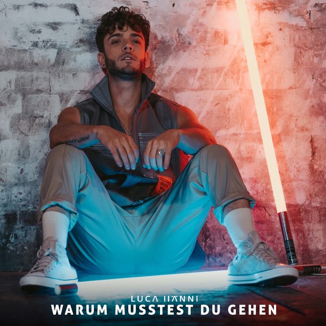 Couverture de Warum musstest du gehen