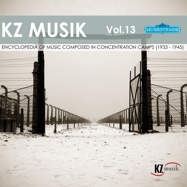 KZ Musik, Vol. 13