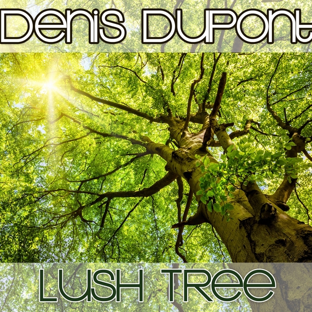 Couverture de Lush Tree