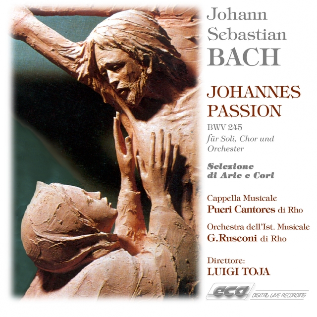 Couverture de Johannes Passion