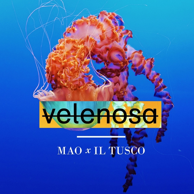 Couverture de Velenosa