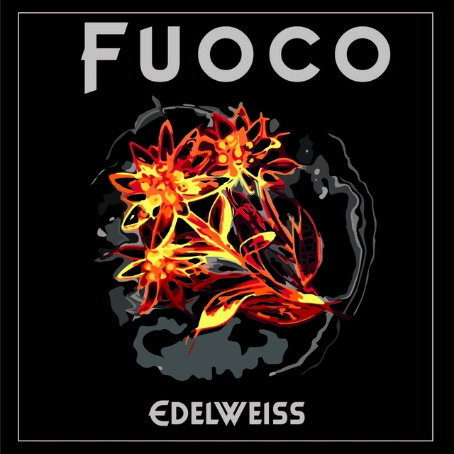 Couverture de Fuoco