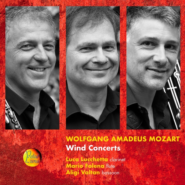 Couverture de Wolfgang Amadeus Mozart: Wind Concerts