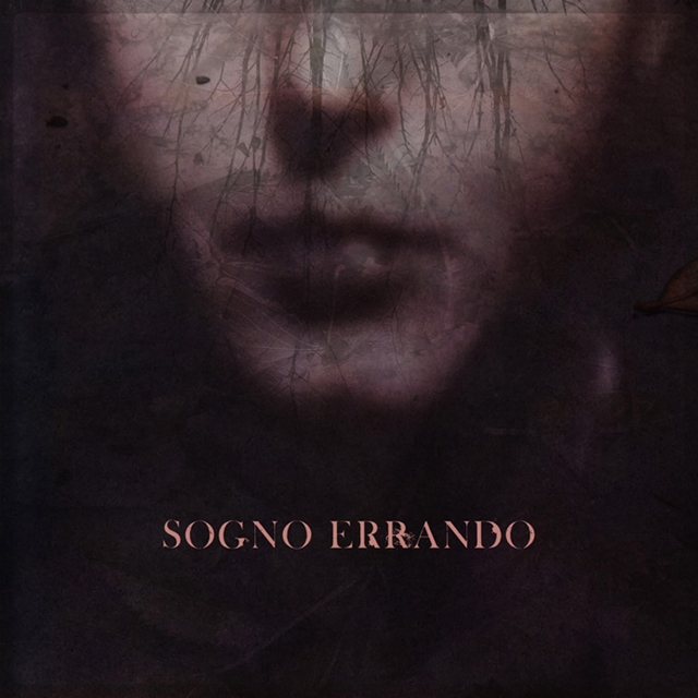 Sogno errando