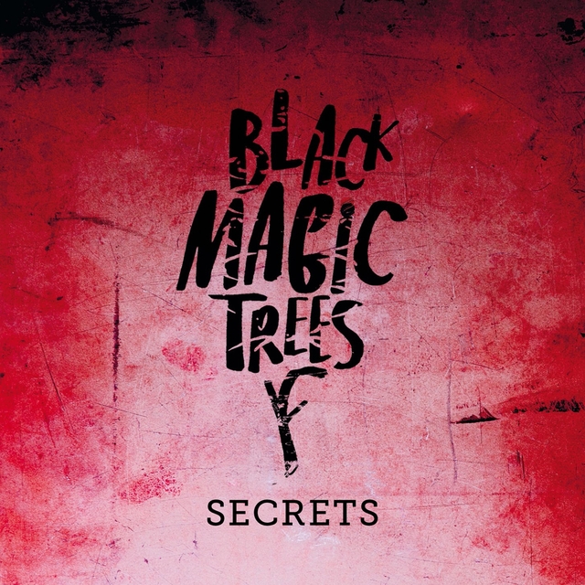 Couverture de Secrets