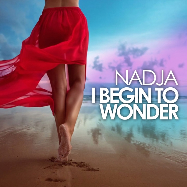 Couverture de I Begin to Wonder