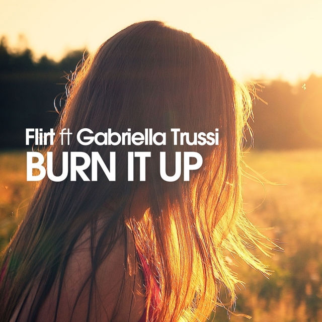 Couverture de Burn It Up