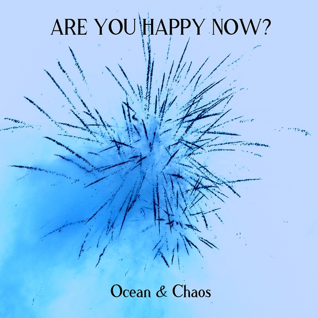 Couverture de Are You Happy Now?