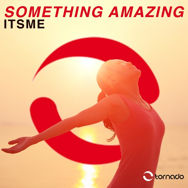 Couverture de Something Amazing