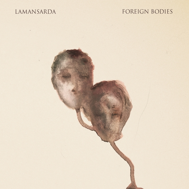 Couverture de Foreign Bodies