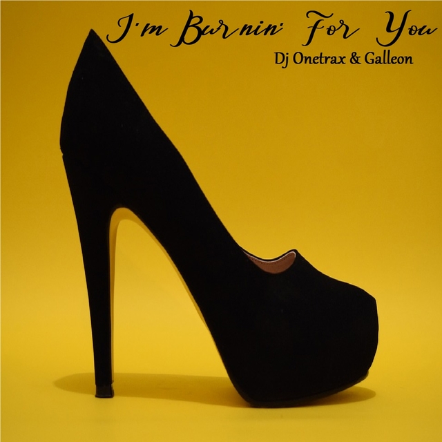 Couverture de I'm Burnin' for You