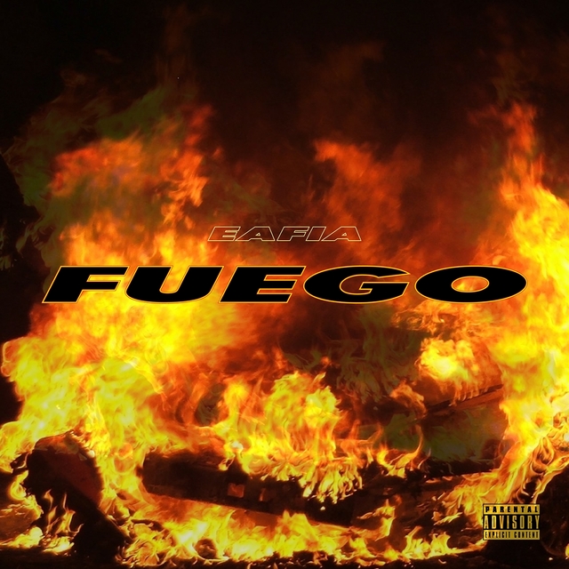 Couverture de Fuego