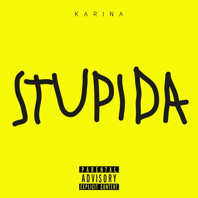 Couverture de Stupida