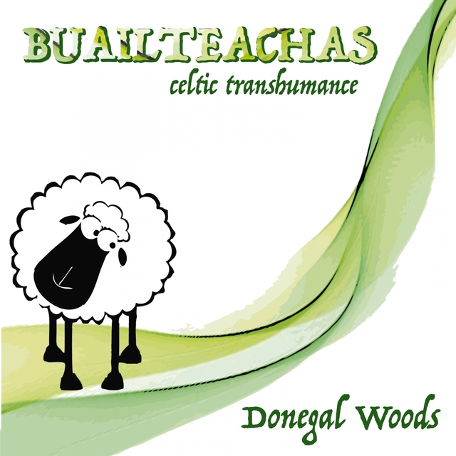 Couverture de Buailteachas Celtic Transhumance