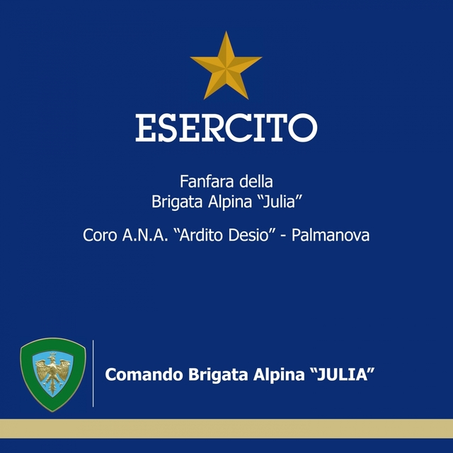 Couverture de Esercito