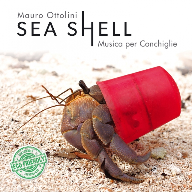 Couverture de Sea Shell Musica per conchiglie