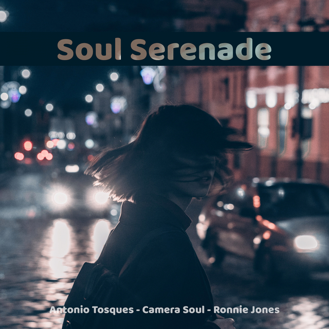 Couverture de Soul Serenade