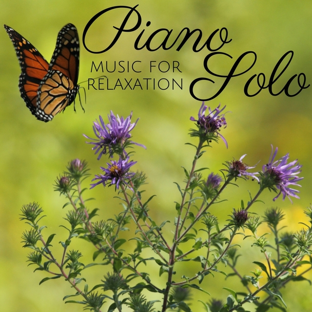 Piano Solo - Classical Music for Relaxation