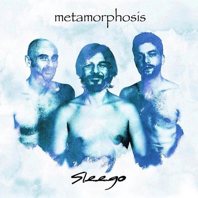 Couverture de Metamorphosis