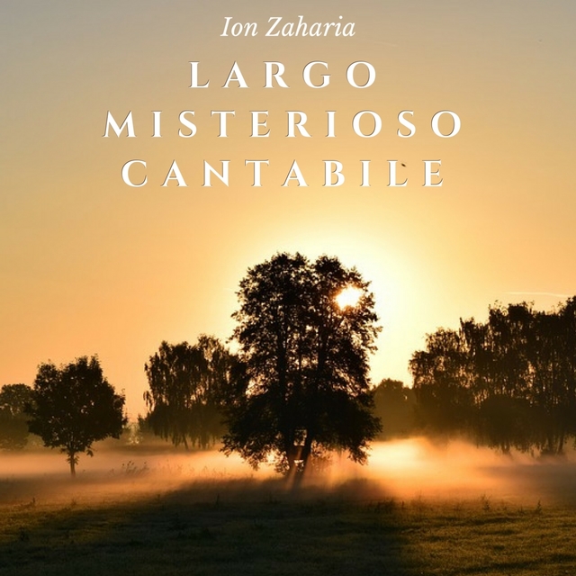 Couverture de Largo misterioso cantabile