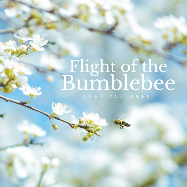 Flight of the Bumblebee