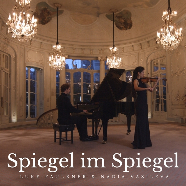 Couverture de Spiegel im Spiegel