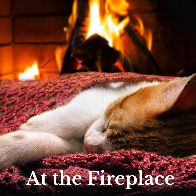 At the Fireplace